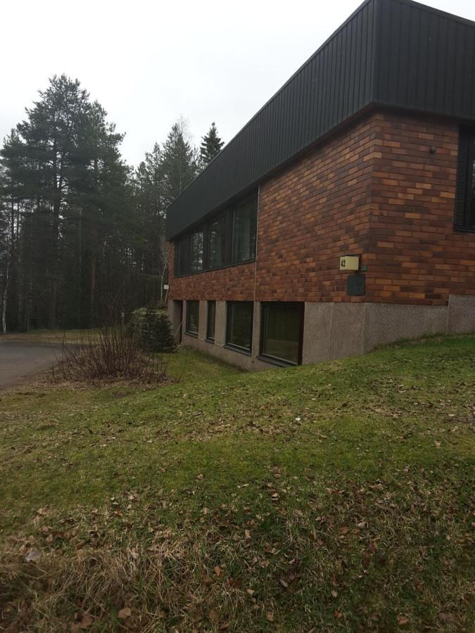 Villa Talo Рованиеми Экстерьер фото